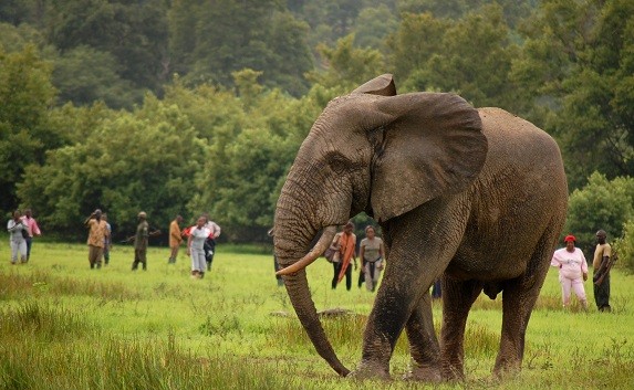 2014 Mole - 5 Places to Visit in Ghana, This Year of Return.